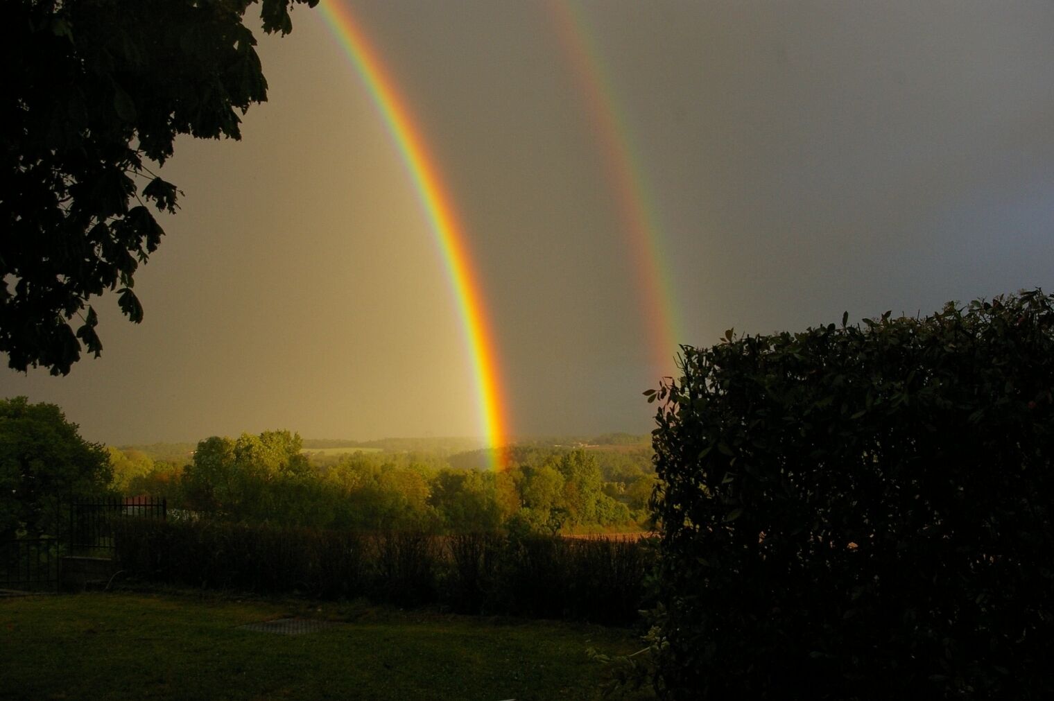 Un paysage où un arc-en-ciel s’étend au-dessus d’un champ d’arbres.