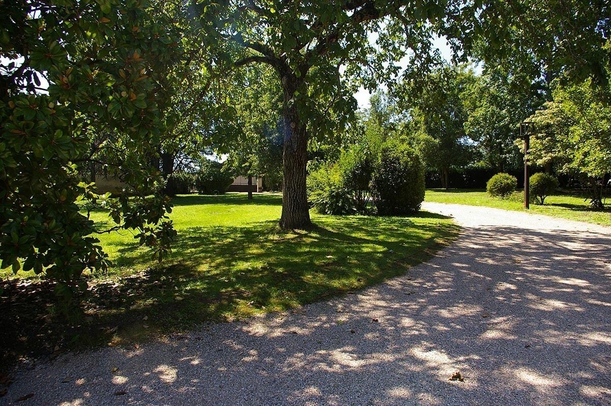 Un chemin de gravier traverse un parc, avec un grand arbre au centre et un bâtiment en arrière-plan.