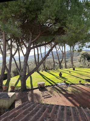 Apartment, Accessible, Non Smoking (Fragola) | Terrace/patio