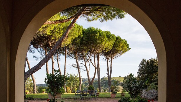 Vista en arco de un jardín con una mesa y sillas, rodeado de macetas y árboles.