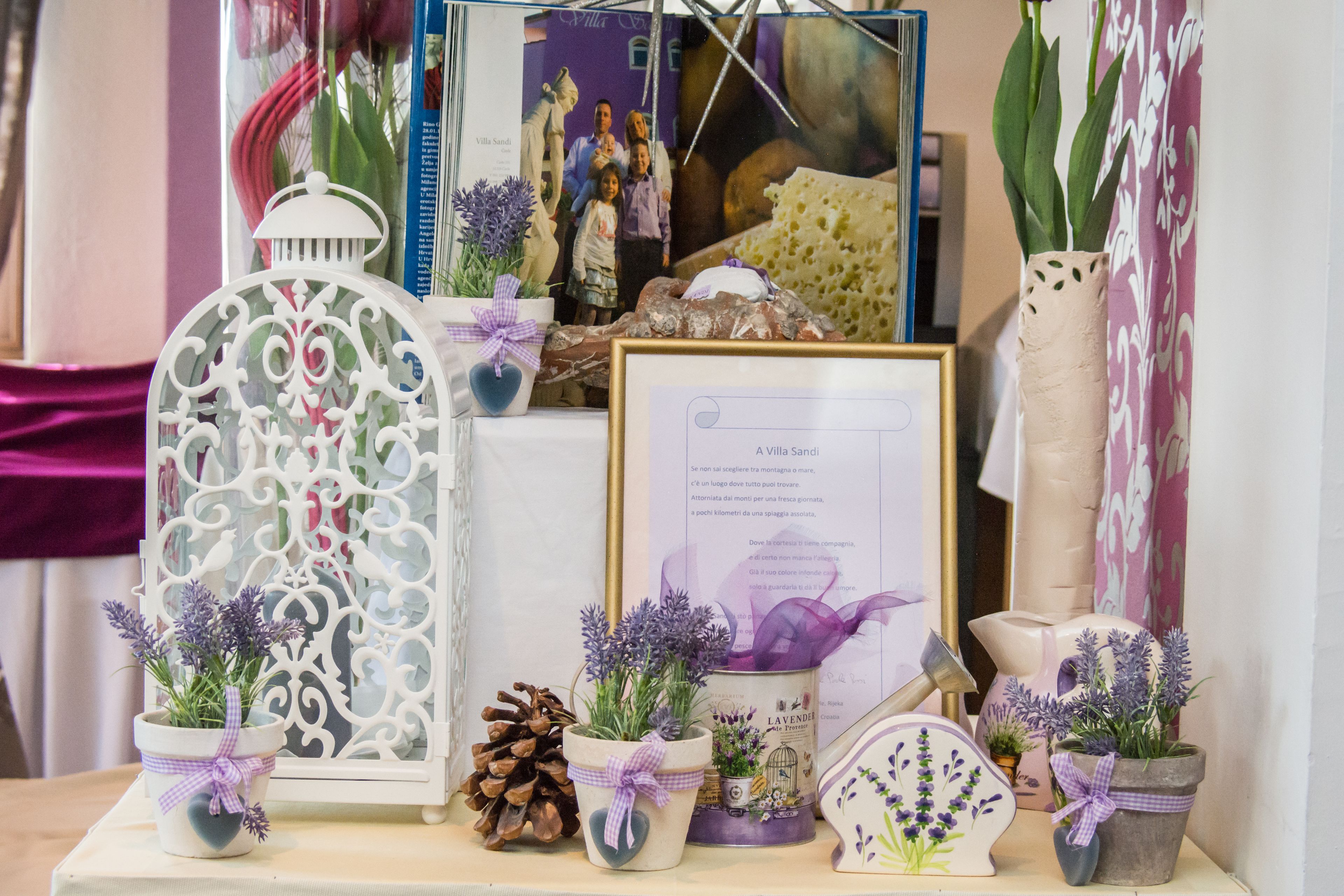 Una exhibición de objetos decorativos, entre ellos macetas con plantas, un diploma enmarcado y un farol decorativo blanco.