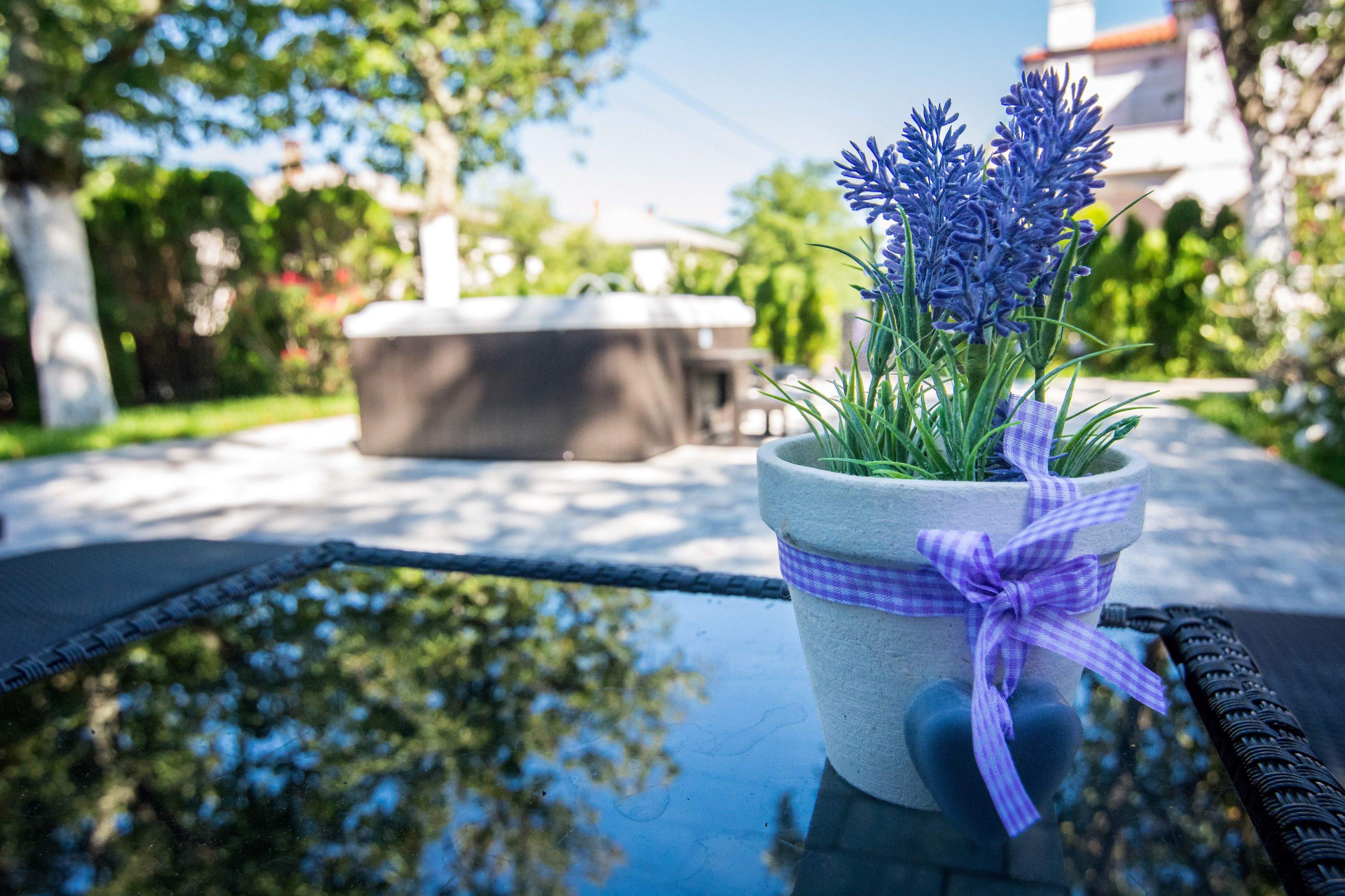 A potted lavender plant on a reflective surface with a checkered ribbon.