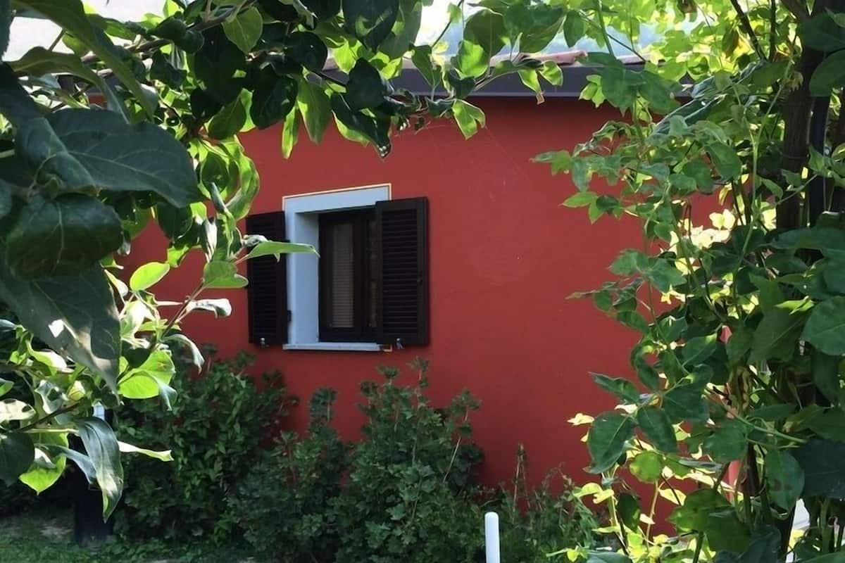 A red building with a window and a small garden area with green plants.