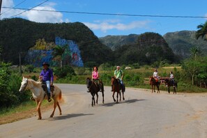 Paseos a caballo