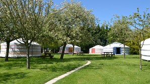 Yourtes équipées de tables de pique-nique et offrant une vue sur un ciel dégagé.