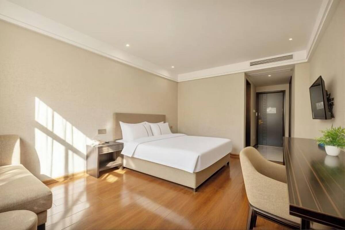 A hotel room with a bed, a desk, a chair, a nightstand, a TV, and a potted plant.