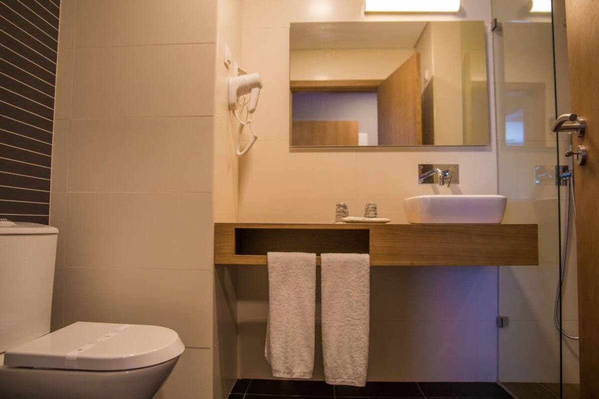 shower, free toiletries, hair dryer, bidet