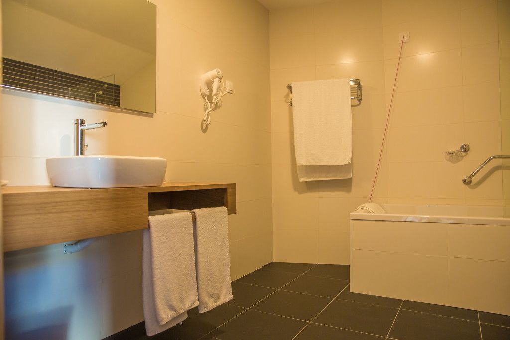 shower, free toiletries, hair dryer, bidet