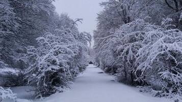 Un sentier enneigé bordé d’arbres.