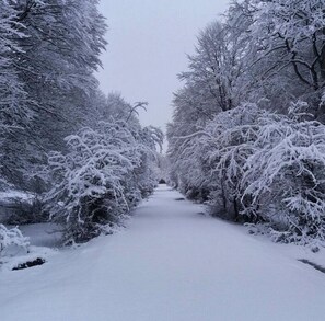 Uma trilha coberta de neve, ladeada por árvores.
