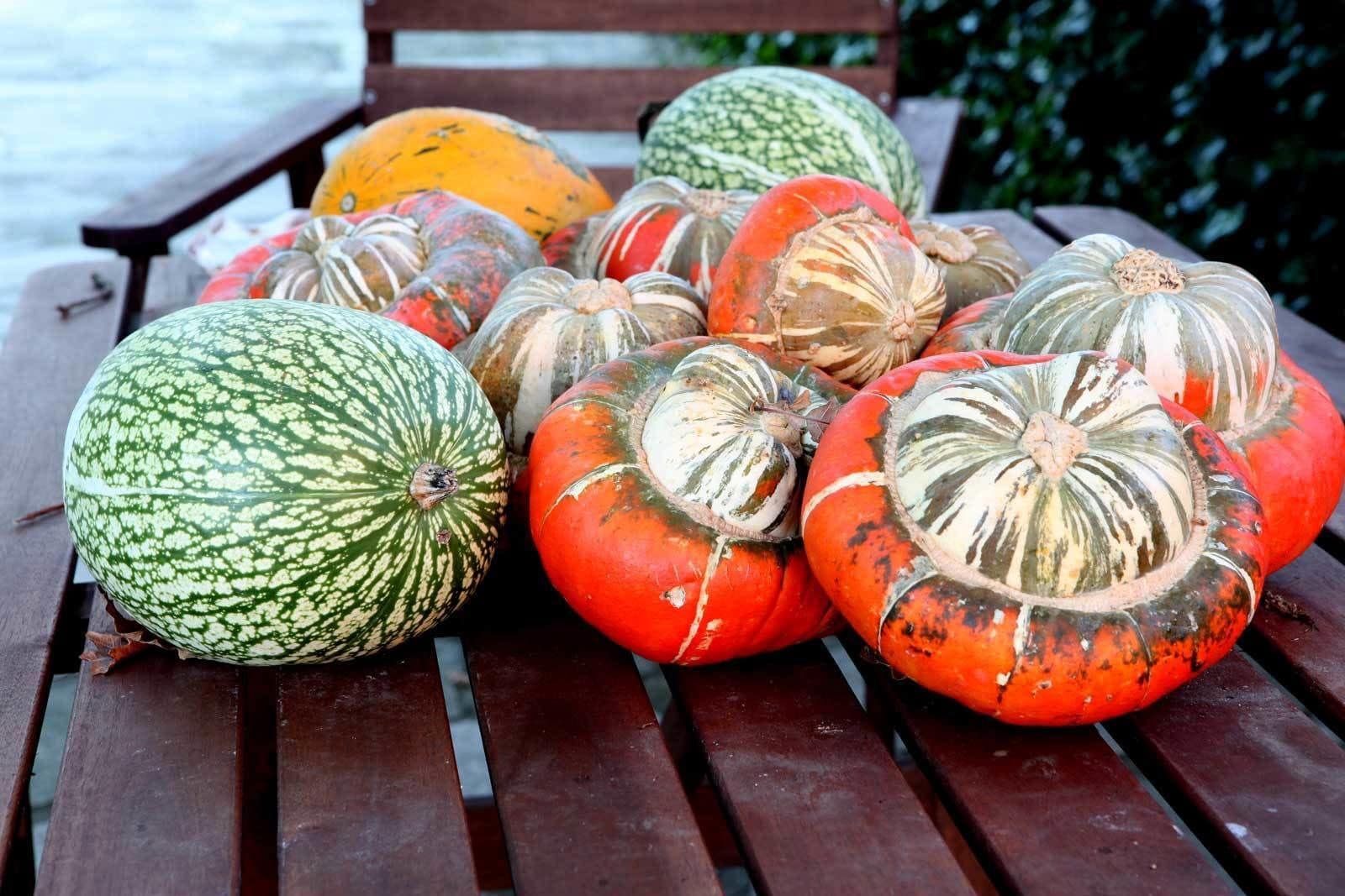 Photo - Casa O Fabal