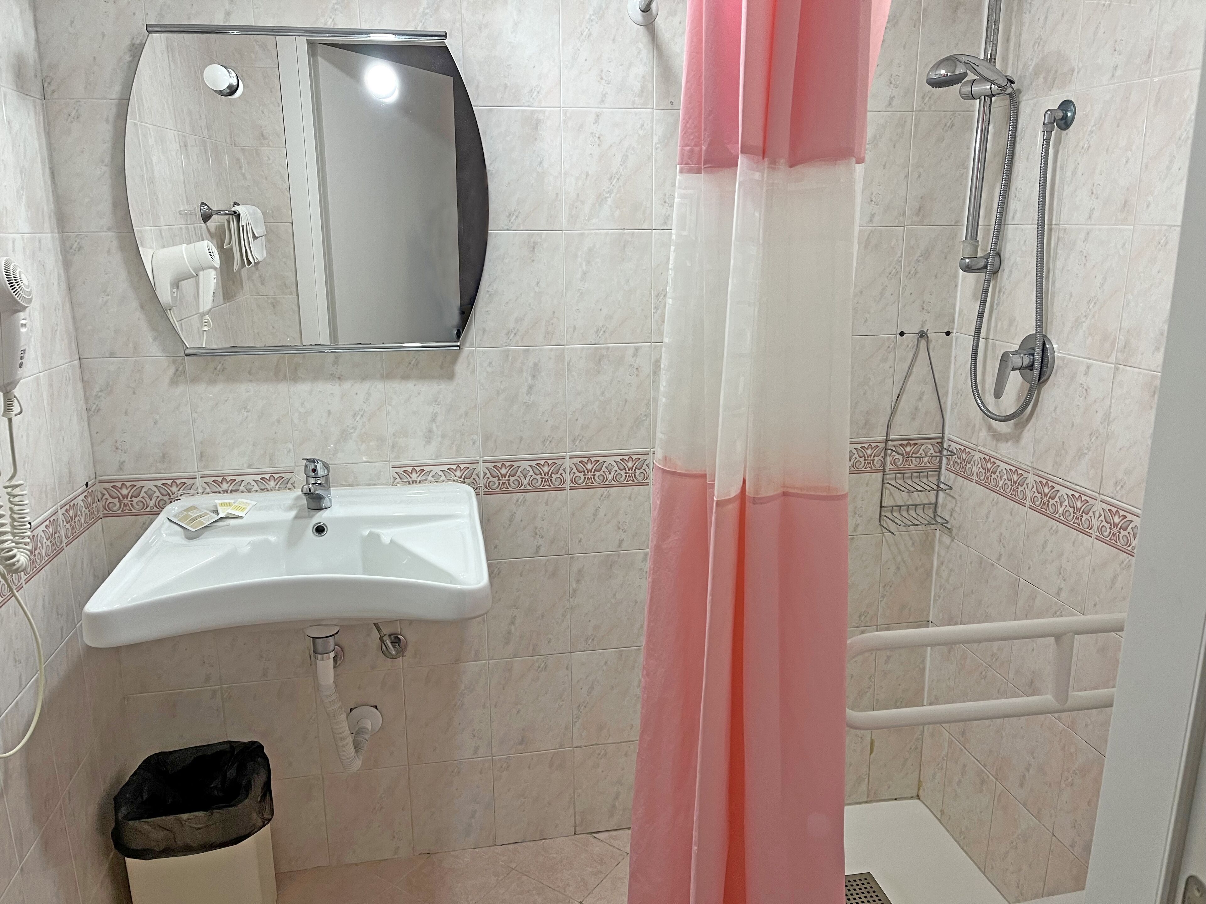 A bathroom with a white sink, a mirror, a shower with a handheld showerhead, and a toilet.