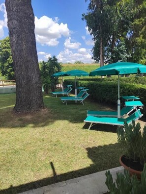 A grassy outdoor area with green lawn chairs and umbrellas, surrounded by trees and a large tree trunk. - Il Parco (Grosseto)