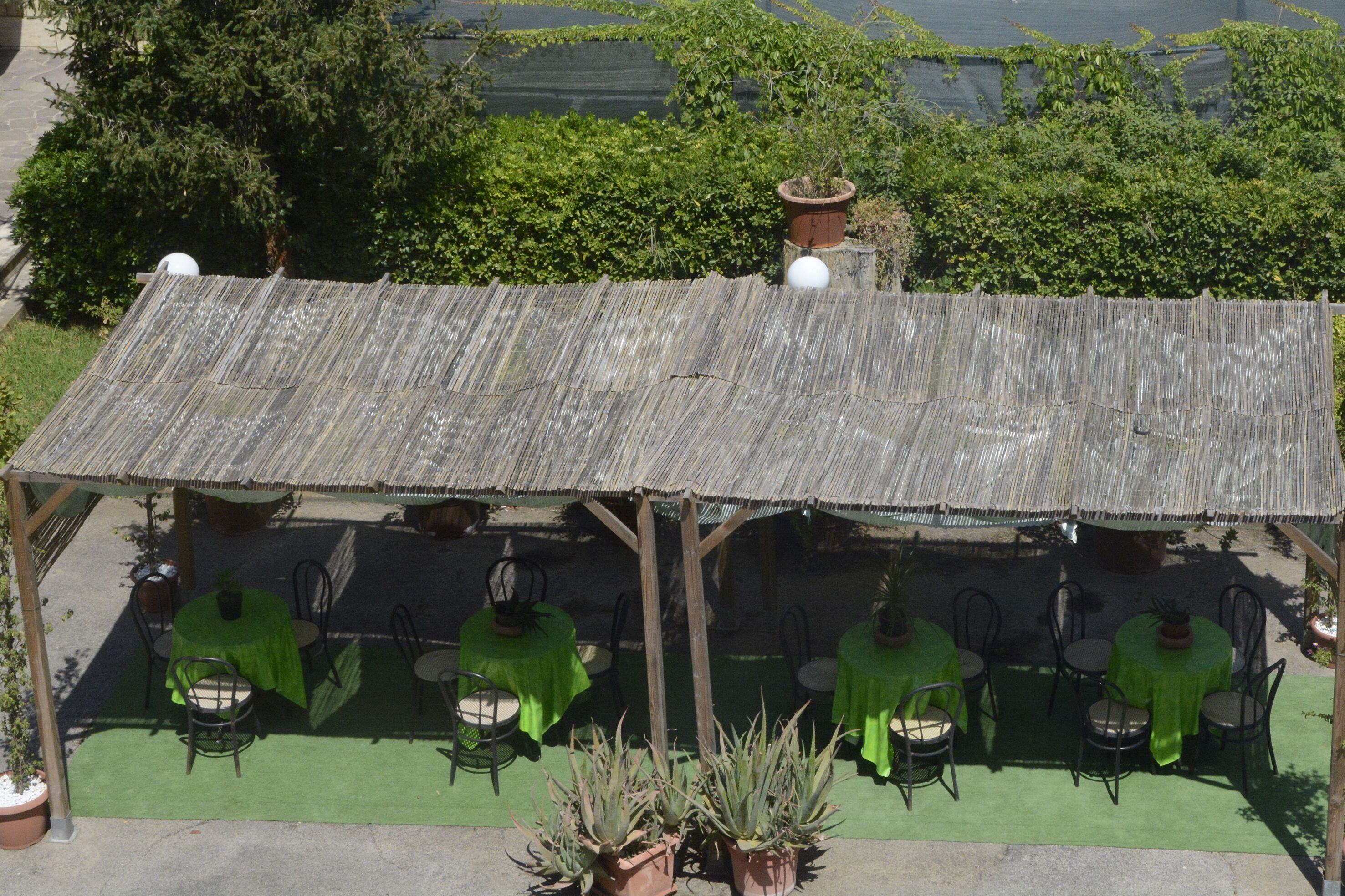 Un espacio de estar al aire libre rústico con techo de lámina corrugada, mesas y sillas verdes, rodeado de macetas y follaje.