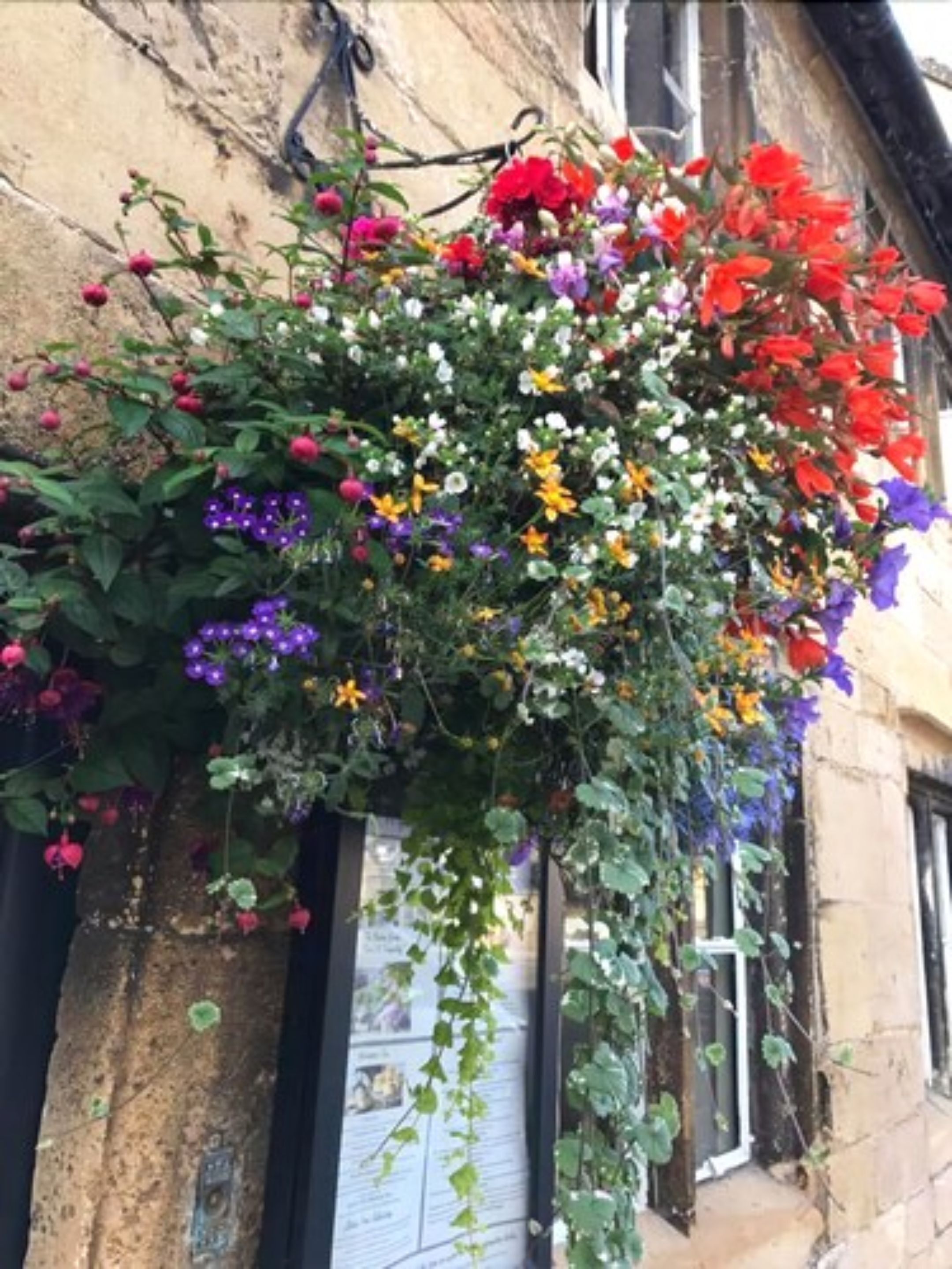 A building facade with a hanging flower basket.