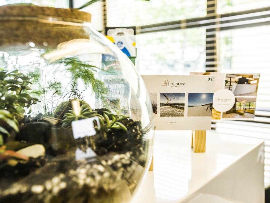 A glass terrarium with plants, a wooden sign, and a brochure on a table.
