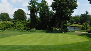 Een golfbaan met een verzorgd gazon, een vlag en een vijver op de achtergrond.