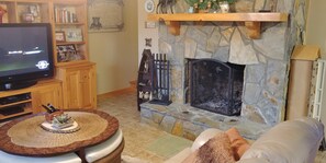 Televisión, chimenea, reproductor de DVD, libros