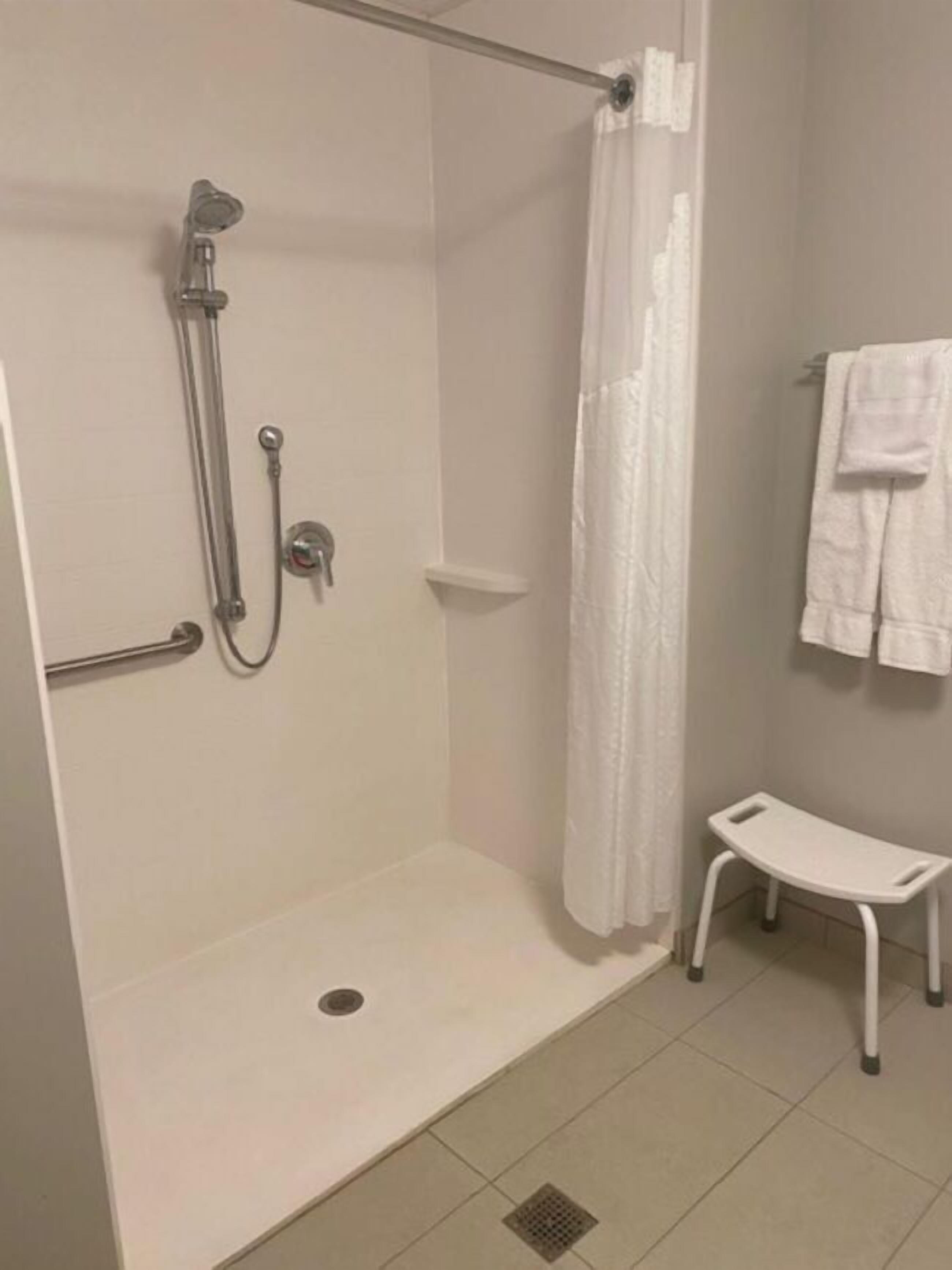 standard room, 1 king bed, accessible (mobility, roll-in shower) | bathroom | free toiletries, hair dryer, towels