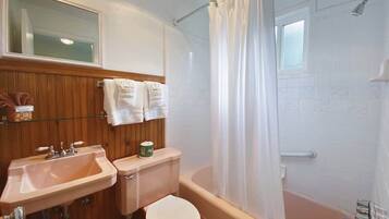 Combined shower/tub, hair dryer