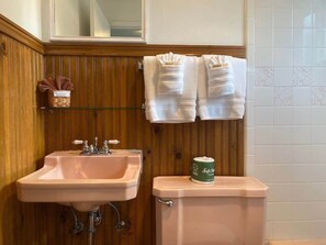 Ducha y bañera combinadas y secador de pelo