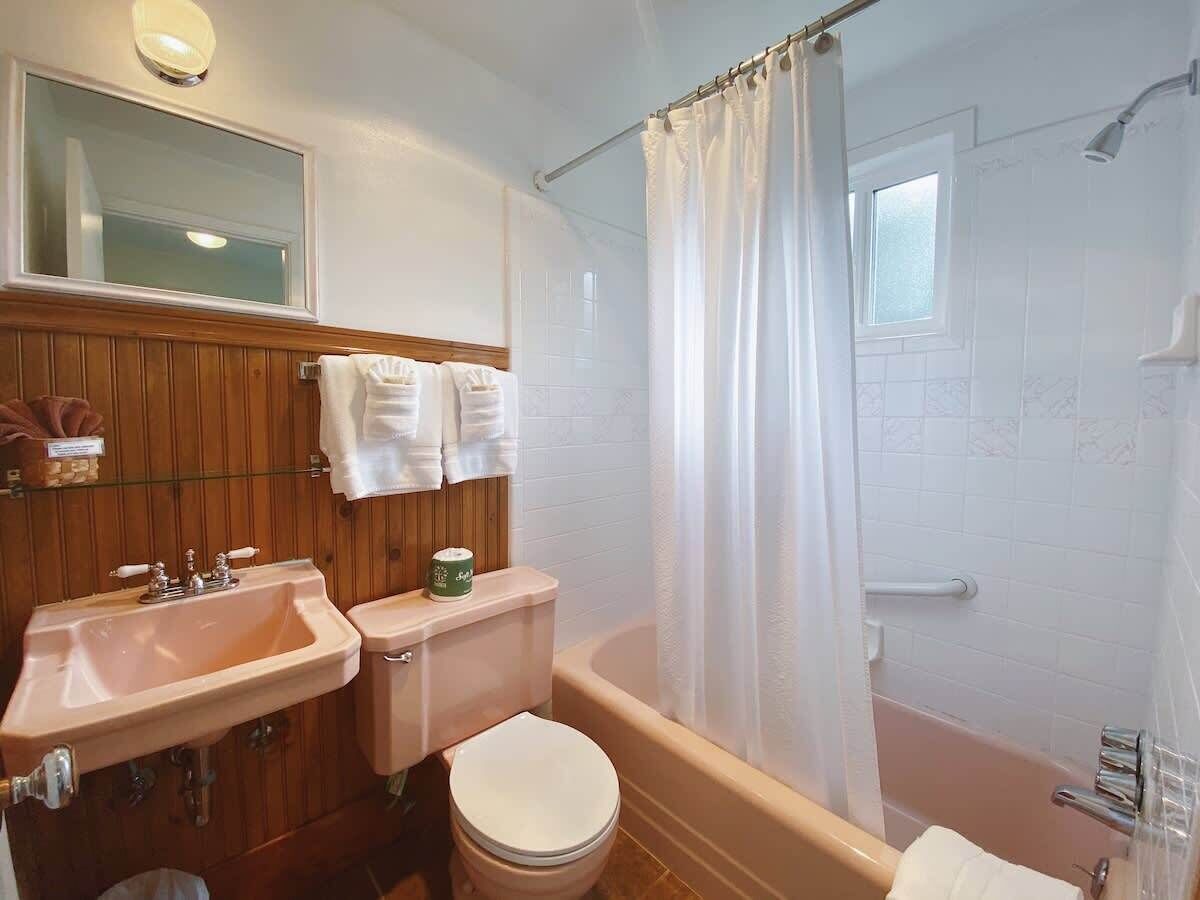 Combined shower/tub, hair dryer