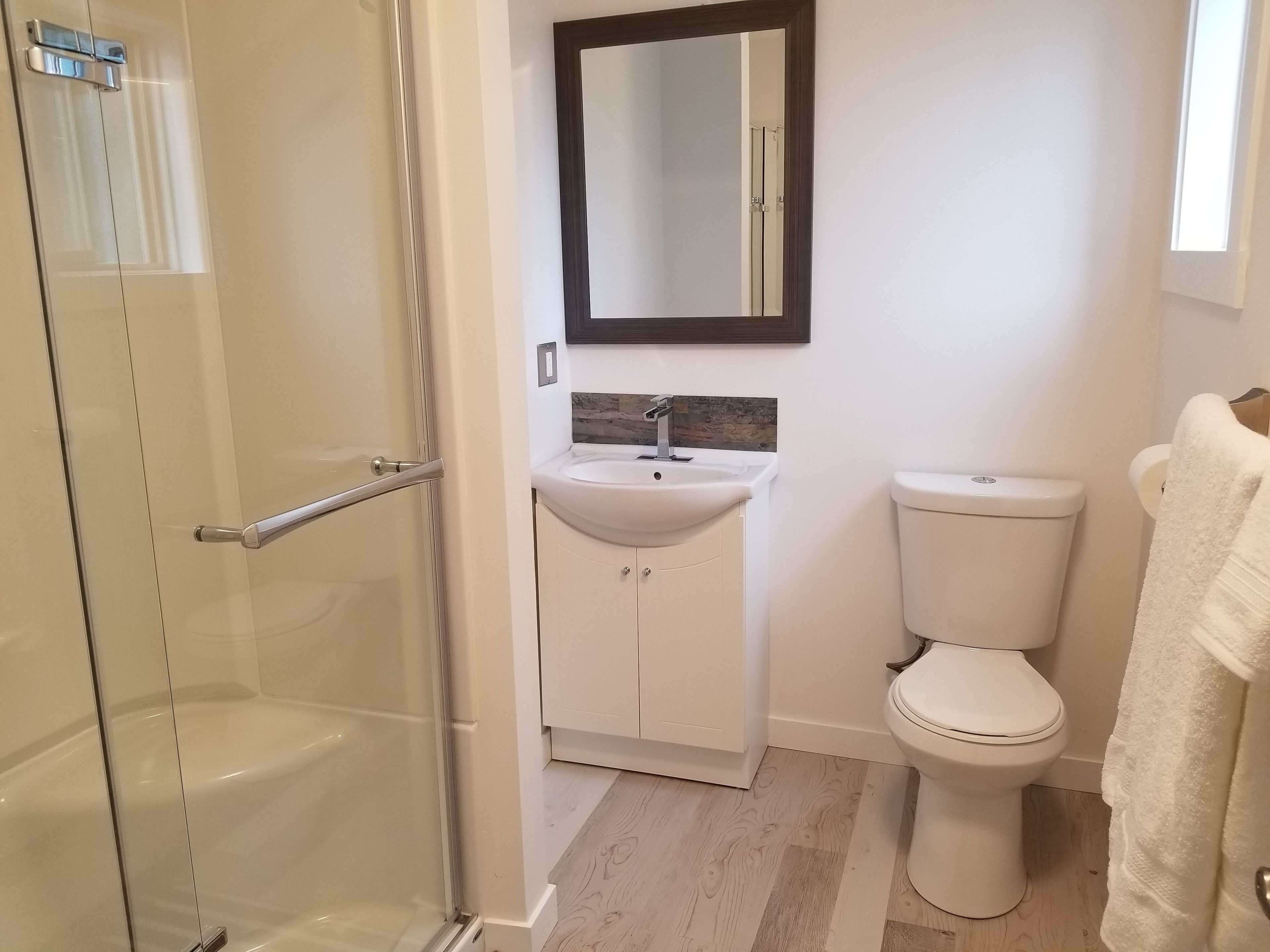 Une salle de bain avec une douche à parois de verre, un lavabo blanc avec un miroir au-dessus et des toilettes.