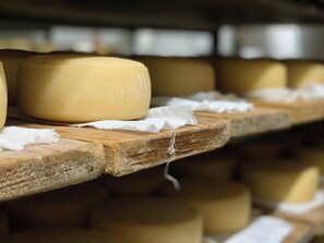 Ein Käse-Reifelager mit Holzböden und großen Käselaiben.