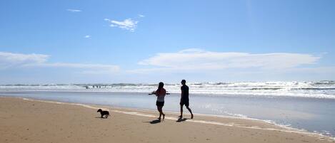 Sulla spiaggia, lettini da mare