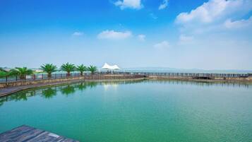 A tranquil pool area with a wooden deck, palm trees, and a distant white structure.