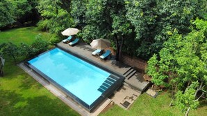 An outdoor swimming pool with lounge chairs and umbrellas, surrounded by lush greenery.