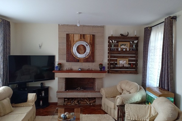 Flat-screen TV, Netflix