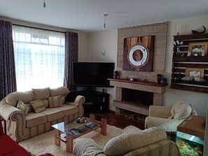 평면 TV, 넷플릭스