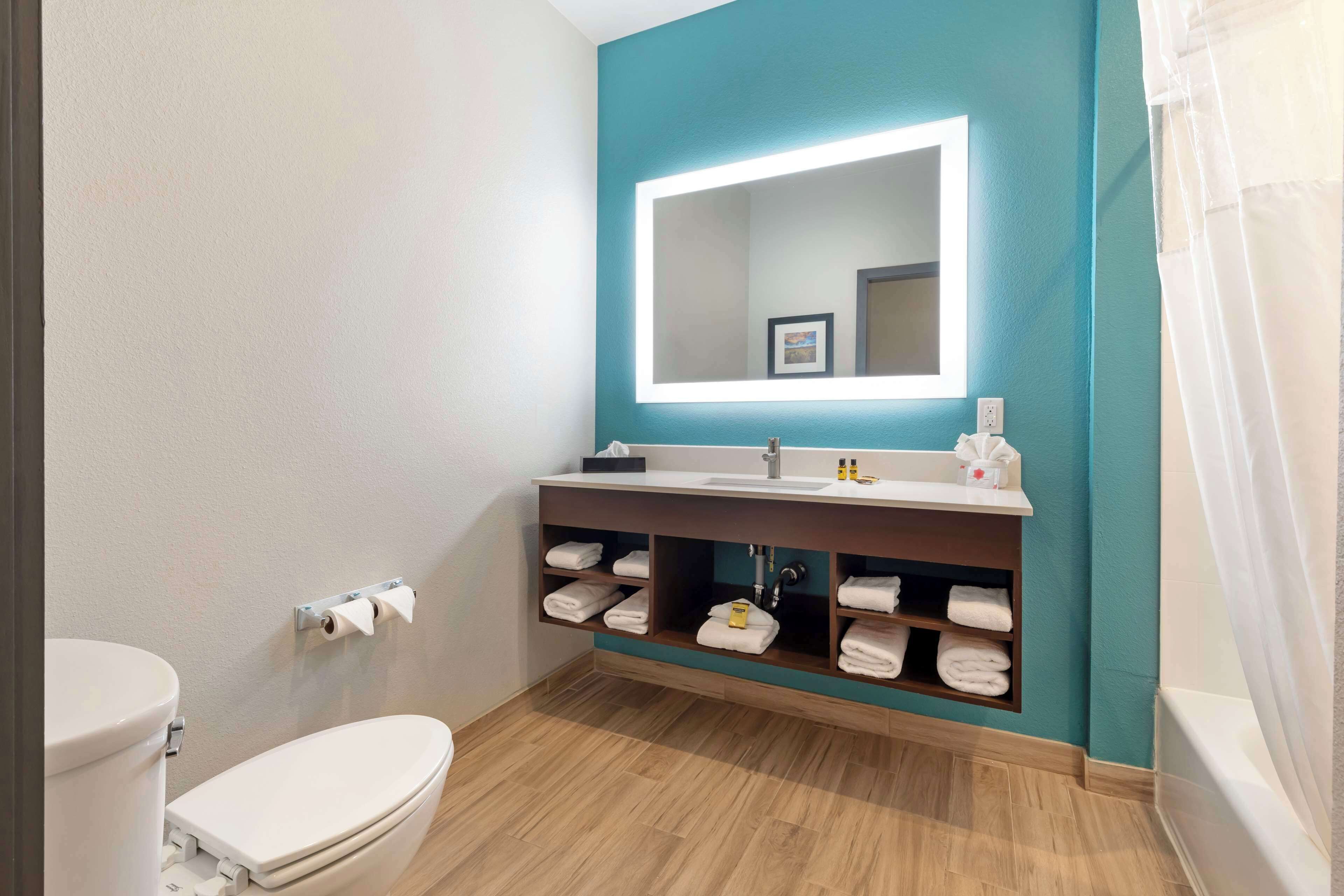 hair dryer, towels, soap, shampoo