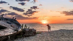 A sunset over a beach with a dog standing on the sand and a boat partially buried in the sand. - Nostos Apartments (Tempi)