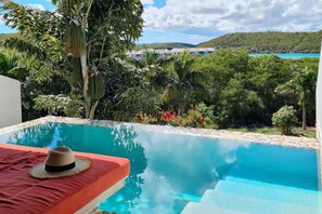Deluxe Room, 1 King Bed, Private Pool | Terrace/patio