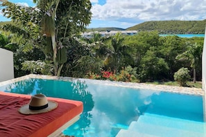 Deluxe Room, 1 King Bed, Private Pool | Terrace/patio
