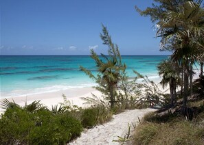 Beach - Tourmaline by Eleuthera Vacation Rentals (North Palmetto Point)