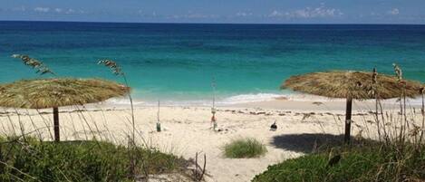 해변 | 근처 해변