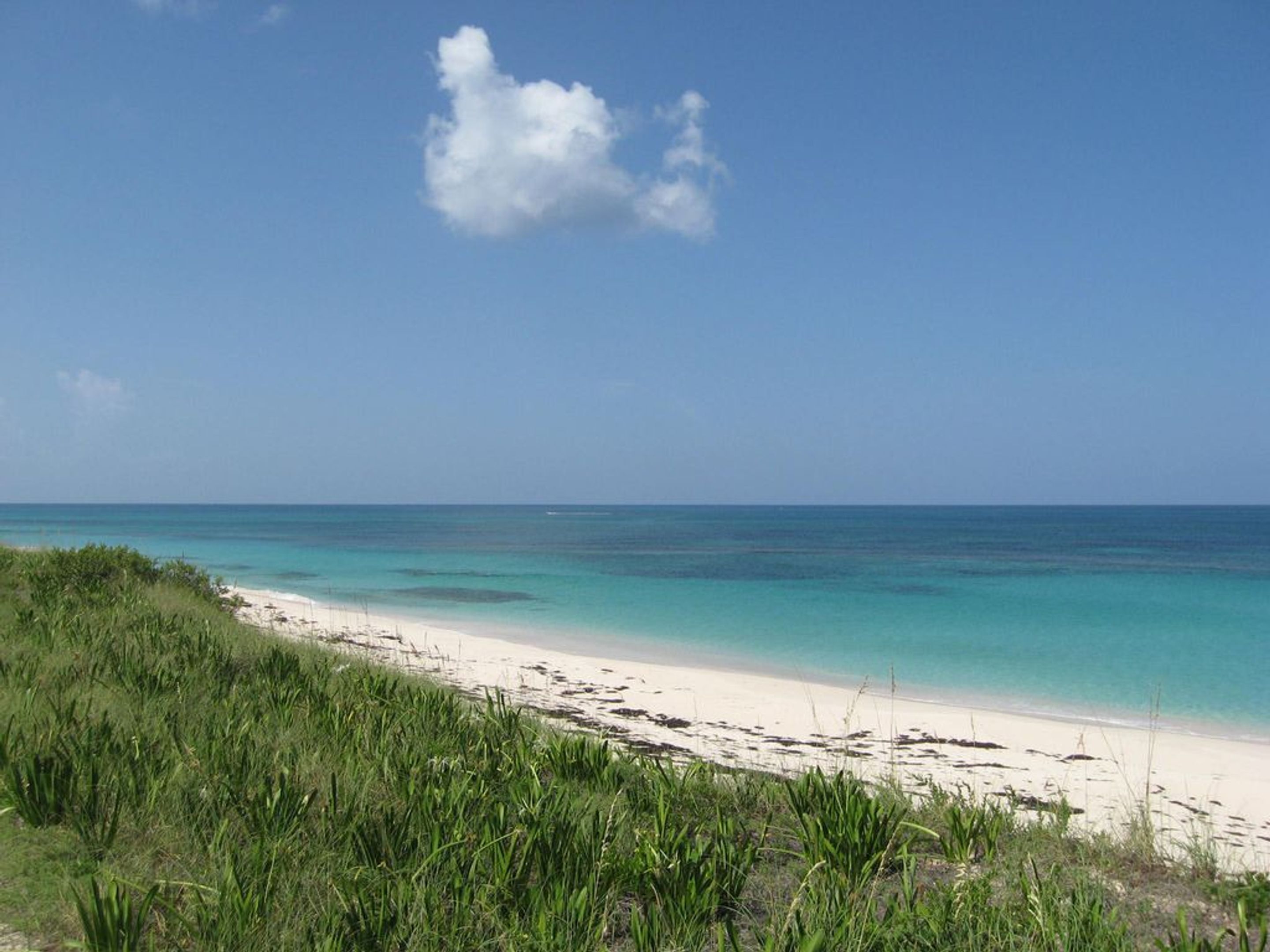 A beach with clear turquoise water, white sand, and green vegetation.