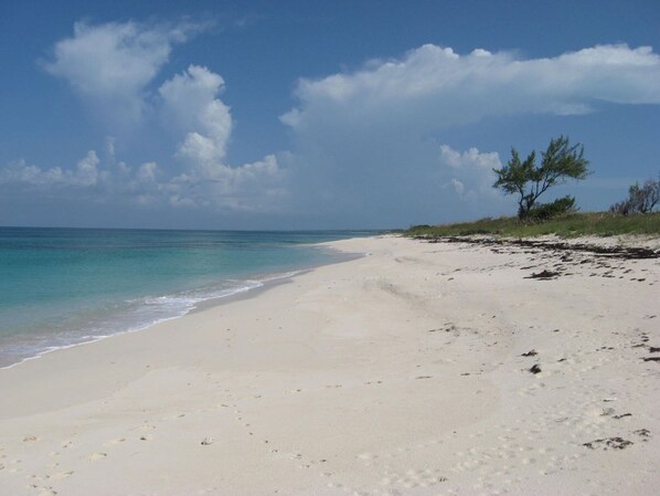 A wide sandy beach with gentle waves, a clear sky, and sparse vegetation.