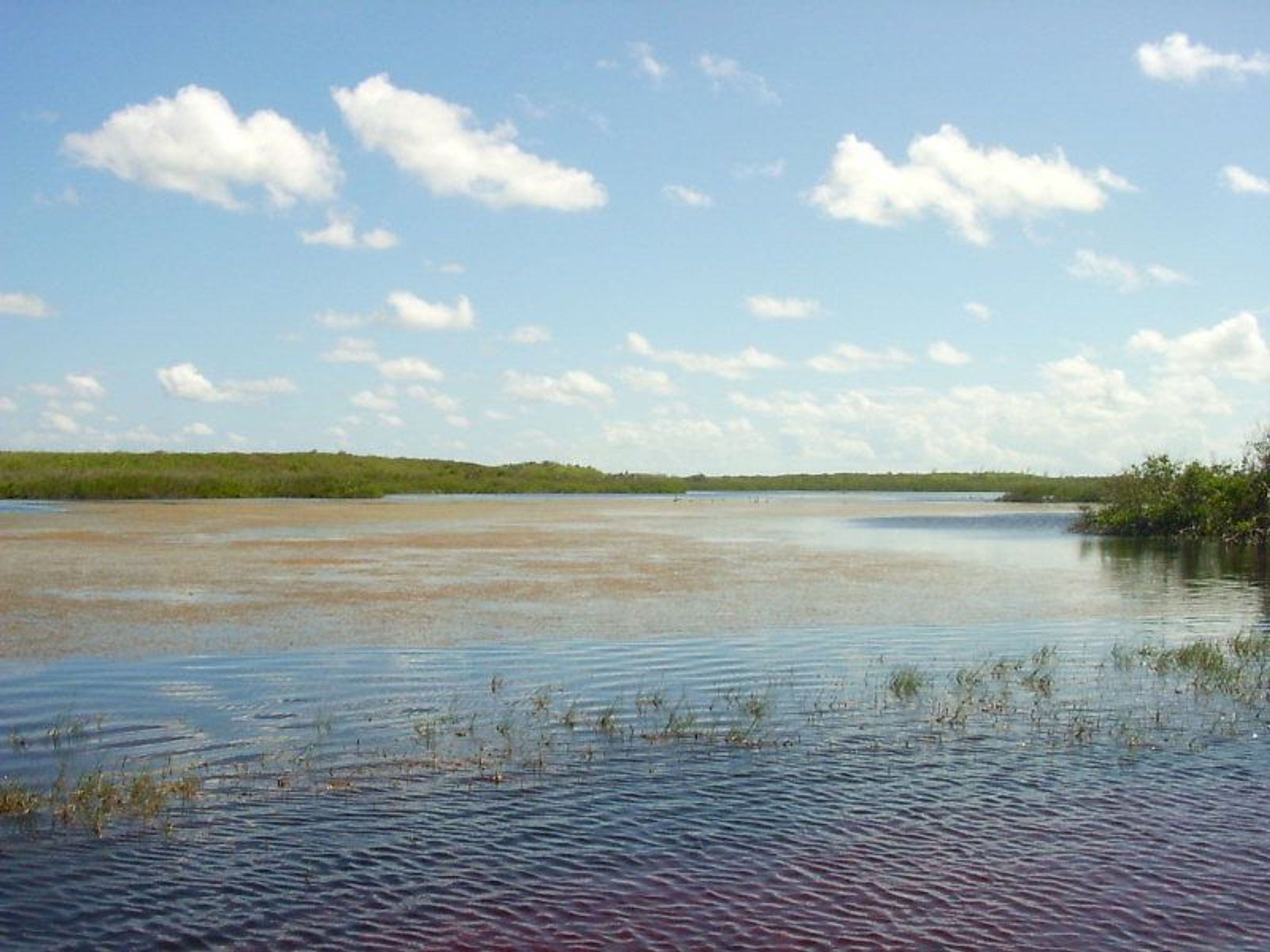A calm water body with a distant shoreline, surrounded by vegetation.