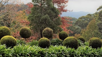 A garden with neatly trimmed spherical hedges and a variety of trees, including some with autumn-colored leaves.