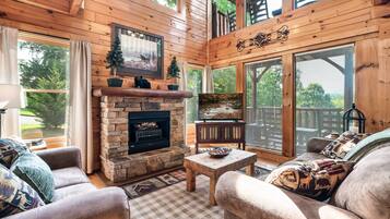 Smart TV, fireplace, DVD player, books