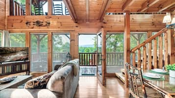 Smart TV, fireplace, DVD player, books