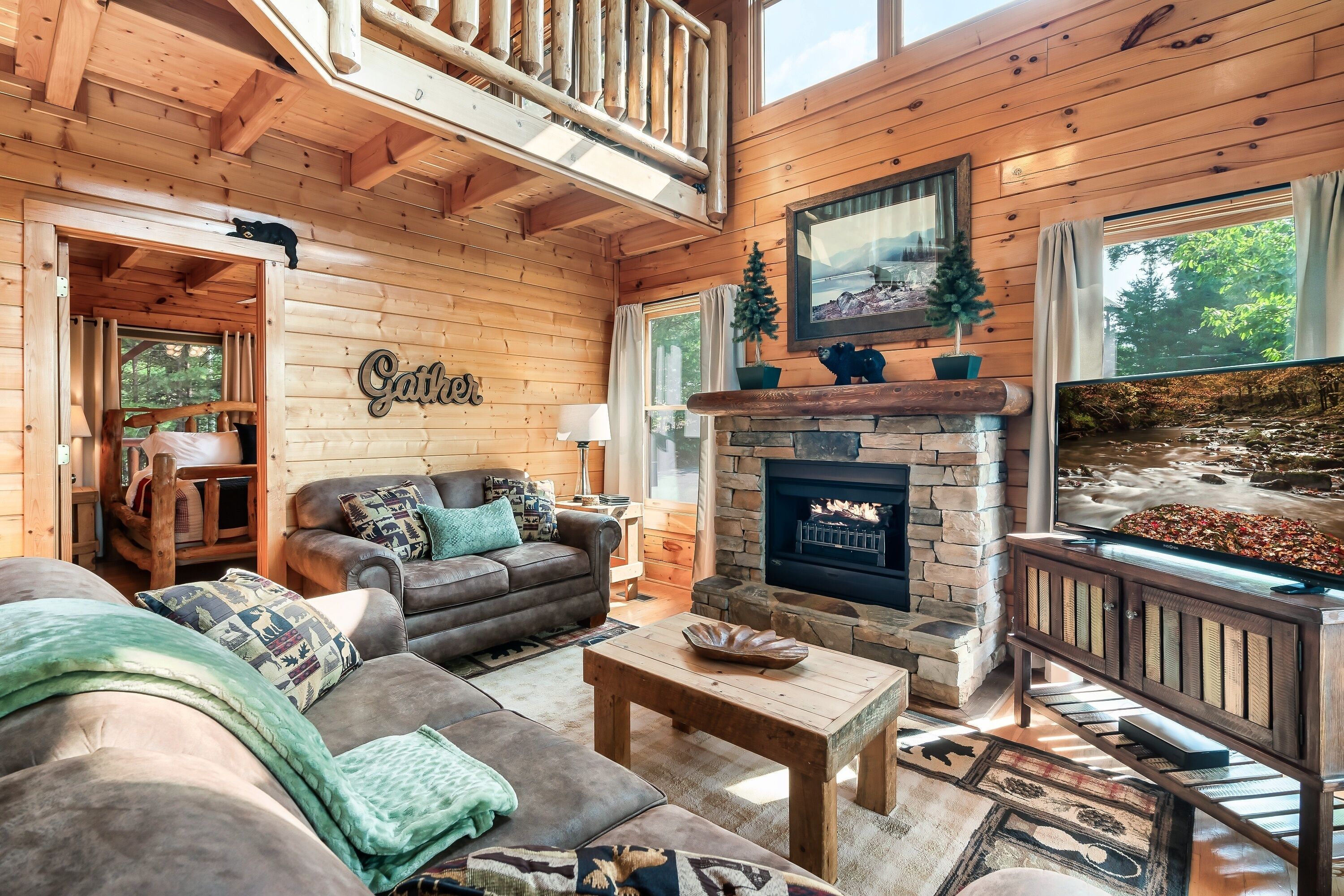 Smart TV, fireplace, DVD player, books