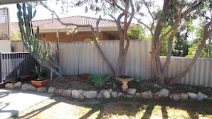 A fenced backyard with a cactus, a bird bath, and a variety of potted plants.