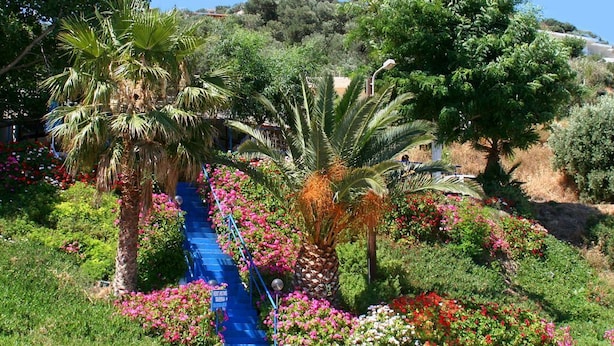 En have med en blå trappe omgivet af forskellige planter og blomster.