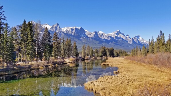 Un paisaje sereno con un lago cristalino que refleja árboles y montañas.