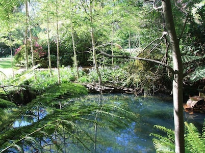 Shadybrook alpine cottage one bedroom No 3 in gardens adjoining the Ovens River 